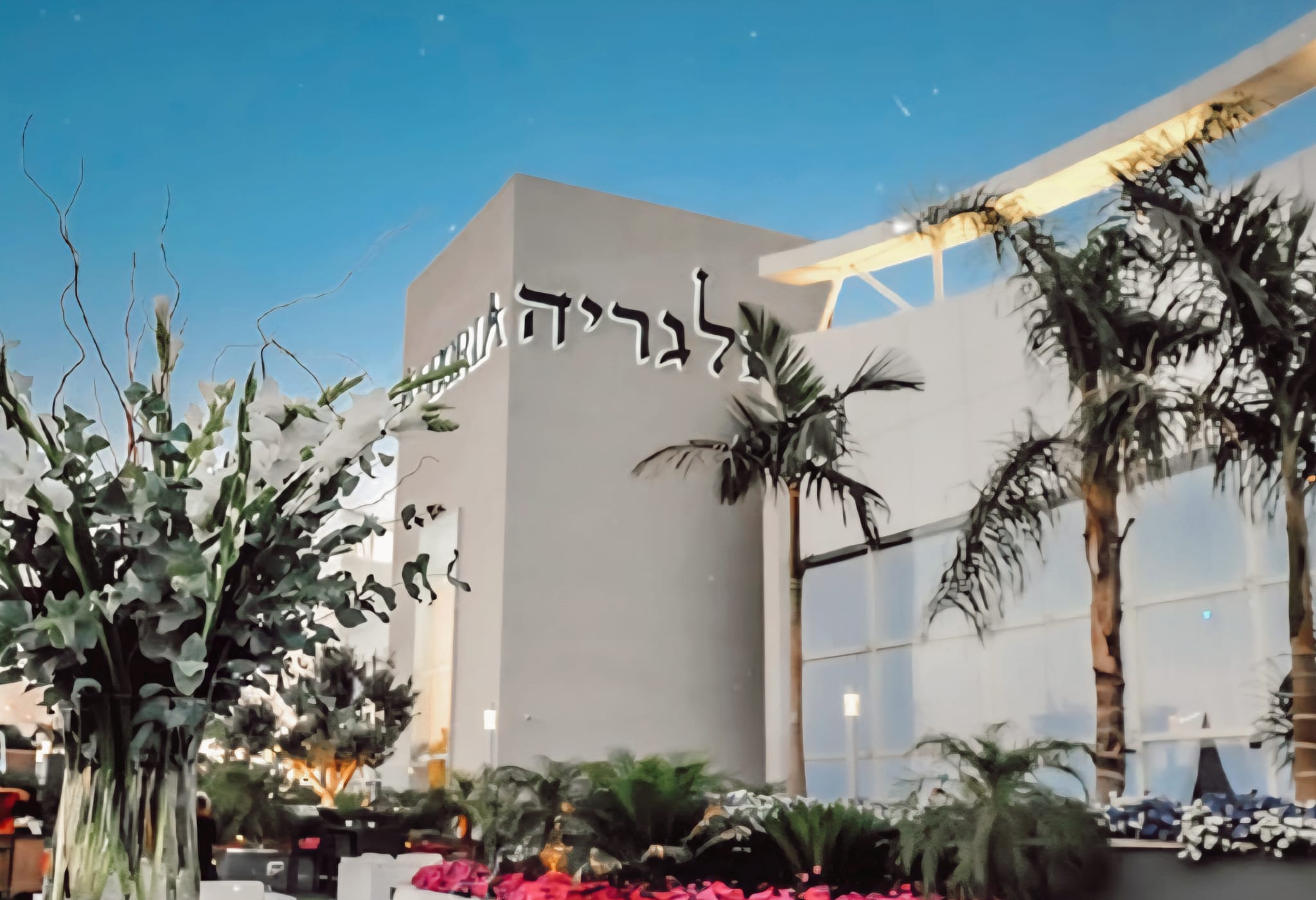 גזענות כנגד אתיופים באולמי אלגריה בבילו סנטר. צילום: מסך רשתות חברתיות\לפי סעיף 27א'