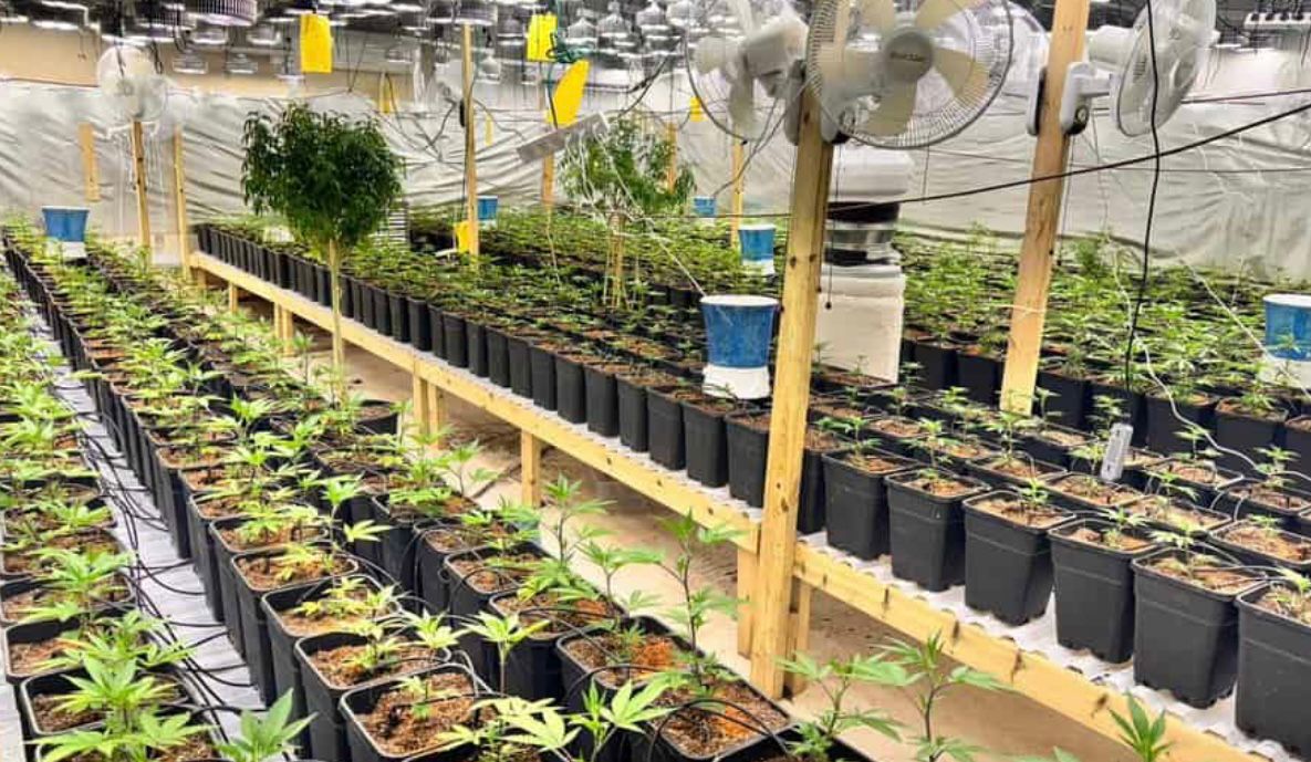 מעבדת סמים. צילום: דוברות המשטרה