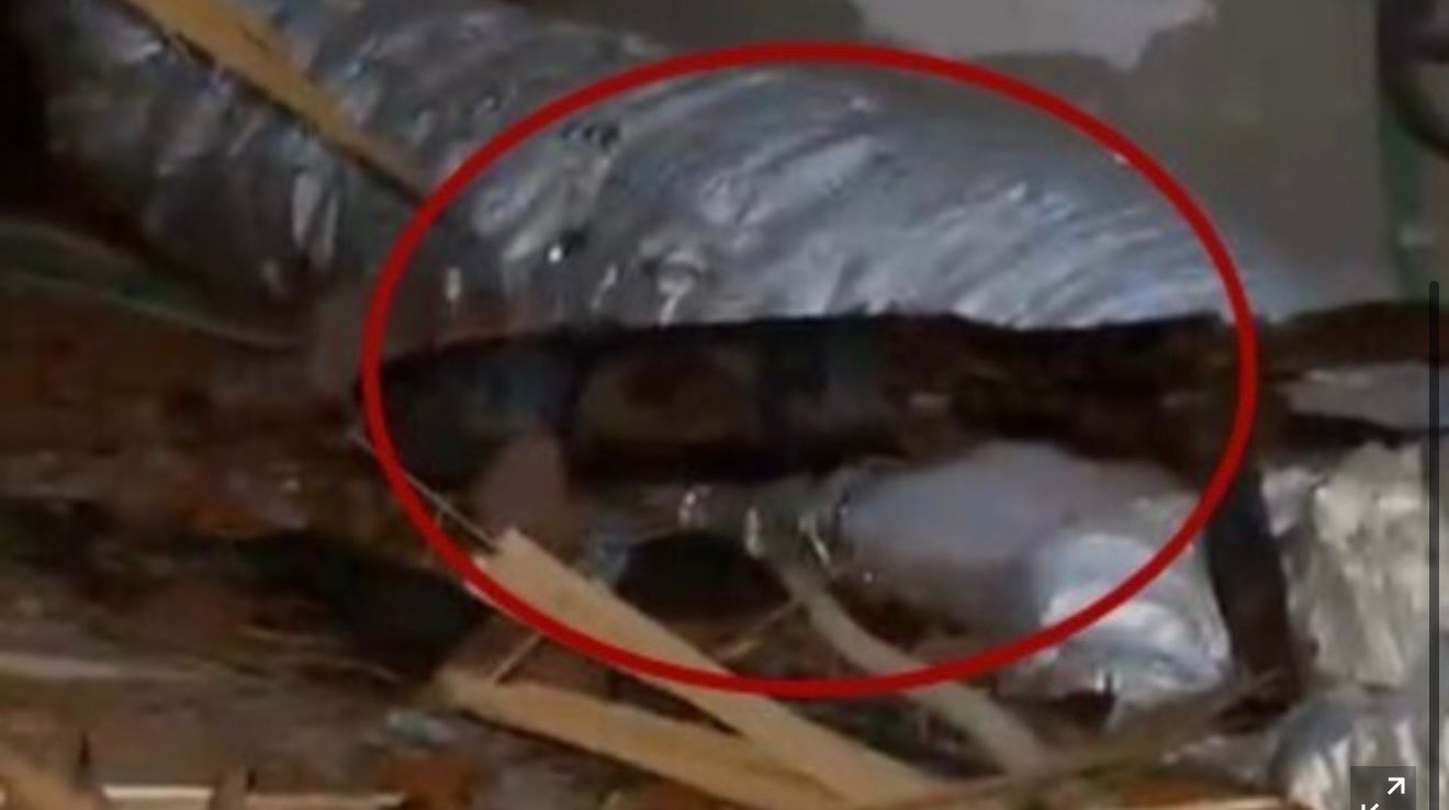 הזירה בסביון. צילום: לפי סעיף 27 א'