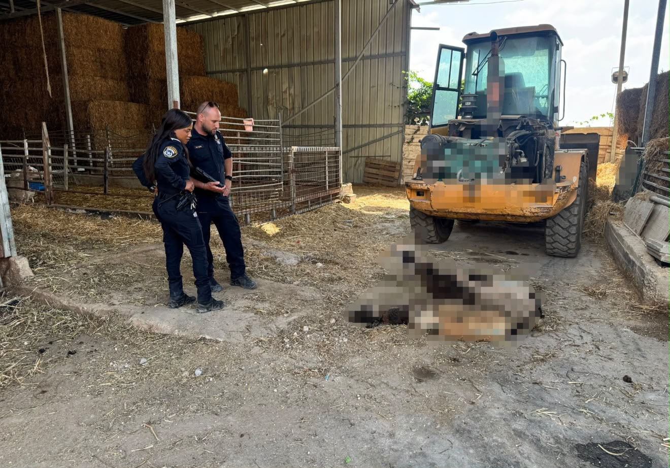 שוטרי משטרת ישראל בפעולה. צילום: דוברות המשטרה