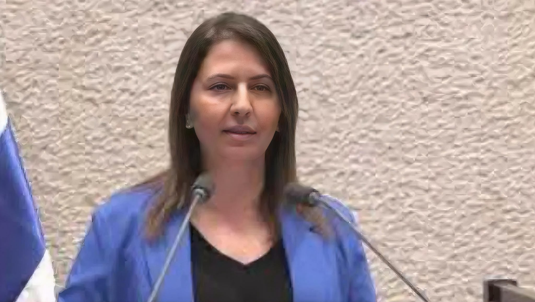 השרה גילה גמליאל. צילום: מסך ערוץ הכנסת