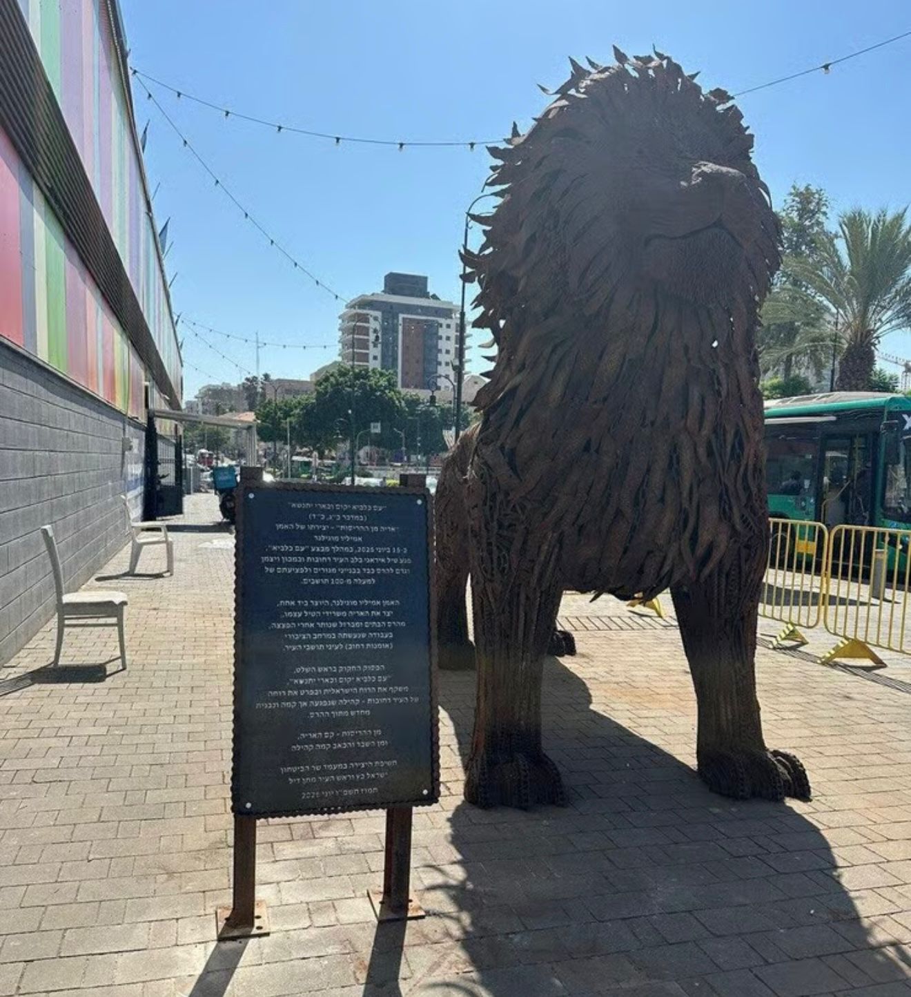 האריה והשלט. צילום: איטל בציר אלשיך